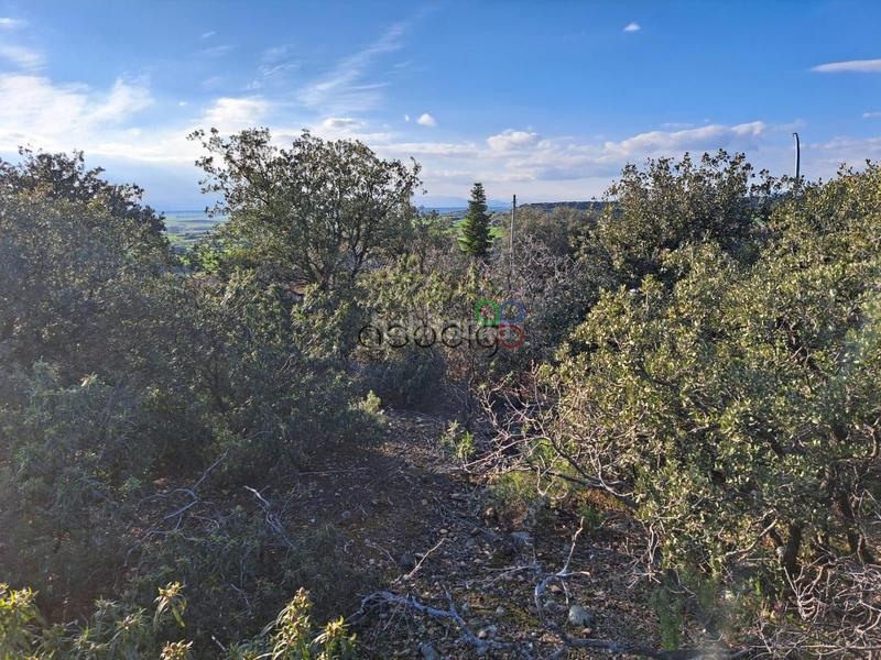 Foto 191d303a-2896-40a5-a108-5bbe518a99a7. Finca rústica gran parcela en venta en urb. sotolargo en Valdeaveruelo