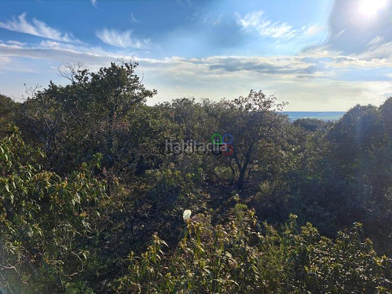 Foto 3e48011c-a3df-4223-b663-ca8840876535. Finca rústica gran parcela en venta en urb. sotolargo en Valdeaveruelo