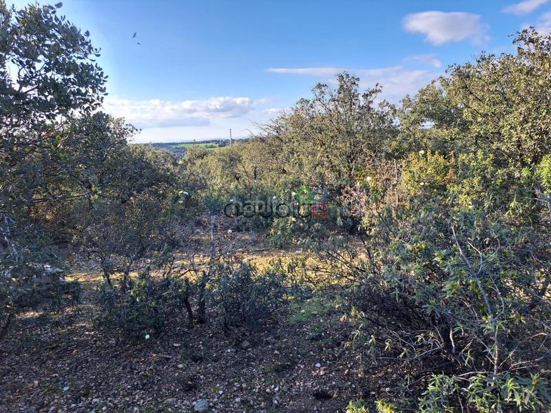 Foto 879ee887-101f-4ff1-b158-4e1137105eef. Finca rústica gran parcela en venta en urb. sotolargo en Valdeaveruelo