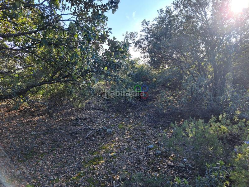 Foto 97ac62c9-5700-494e-a052-c8a663fec12b. Finca rústica gran parcela en venta en urb. sotolargo en Valdeaveruelo