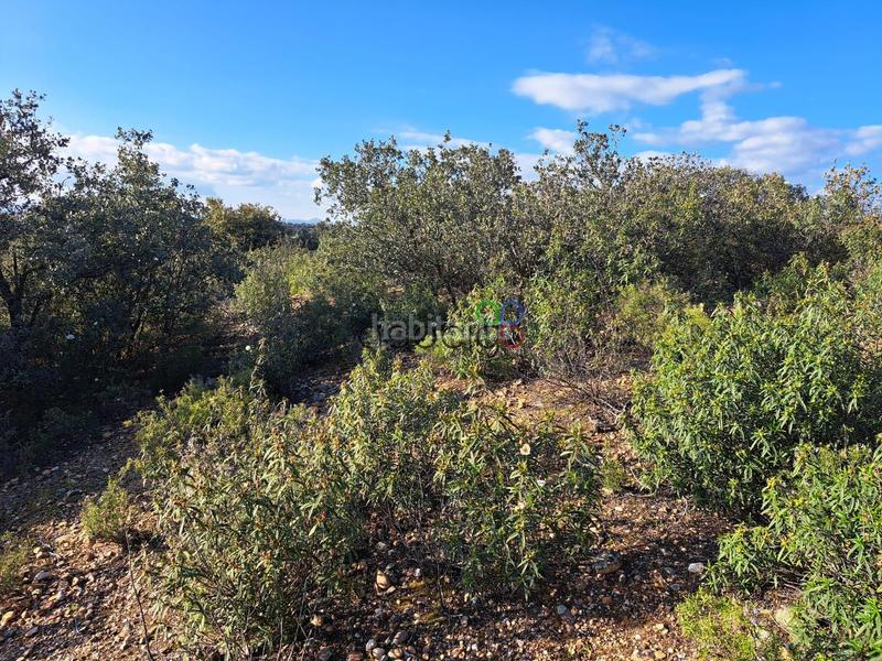 Foto bfb39712-c0b6-4e90-8b96-20c1f2e0fbfd. Finca rústica gran parcela en venta en urb. sotolargo en Valdeaveruelo