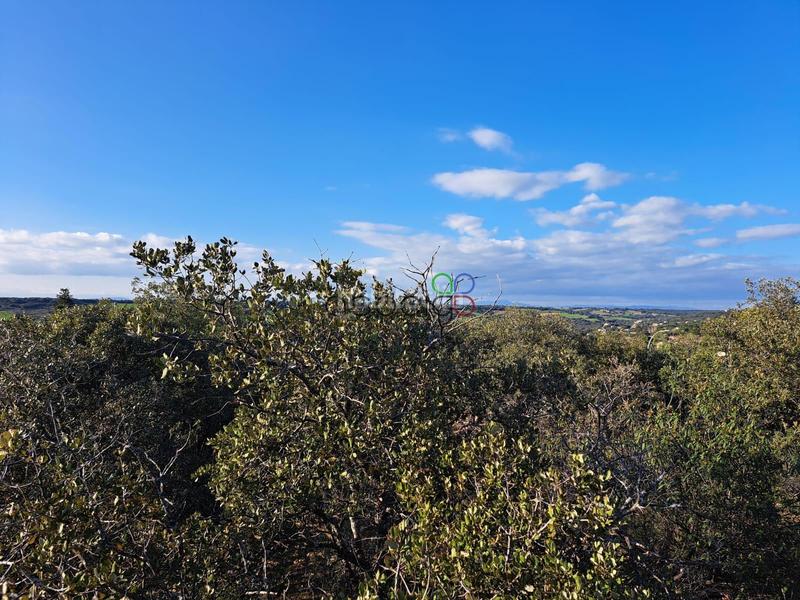 Foto c46fcd20-90b6-499f-95ed-1415733819d9. Finca rústica gran parcela en venta en urb. sotolargo en Valdeaveruelo