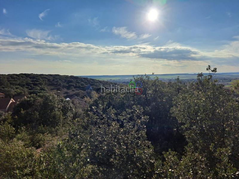 Foto d2b82770-be64-43f3-83ba-c9b14a1f4e18. Finca rústica gran parcela en venta en urb. sotolargo en Valdeaveruelo