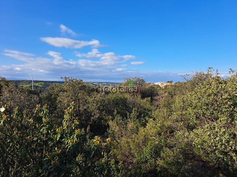 Foto d657b7df-b305-4637-be9c-141bf99ff50b. Finca rústica gran parcela en venta en urb. sotolargo en Valdeaveruelo