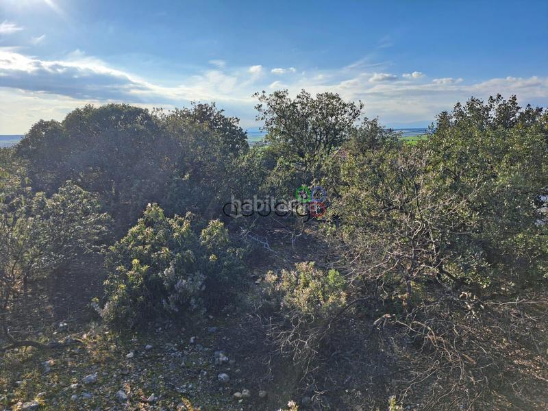 Foto dd196cac-d283-4edd-85f5-ec124fadbf7c. Finca rústica gran parcela en venta en urb. sotolargo en Valdeaveruelo