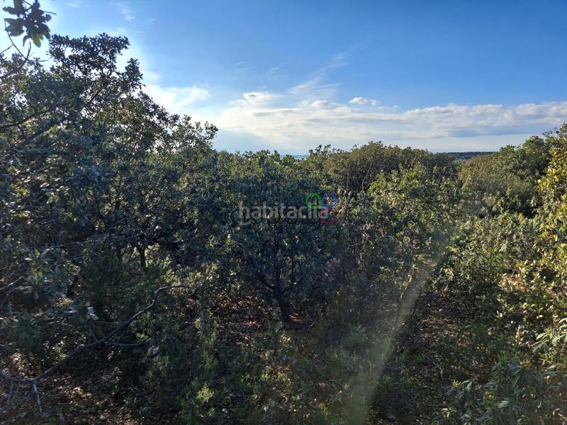 Foto 00dc03fe-a3c2-4d5d-b6b3-a0aa5d4bb27c. Finca rústica gran parcela en venta en urb. sotolargo en Valdeaveruelo