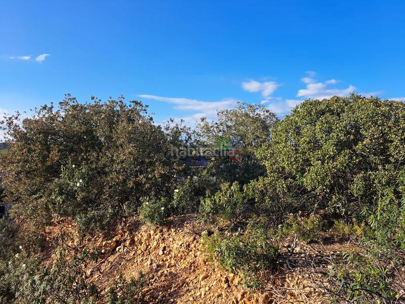 Foto 0c89735c-0b79-4a5d-a865-80441c294d47. Finca rústica gran parcela en venta en urb. sotolargo en Valdeaveruelo