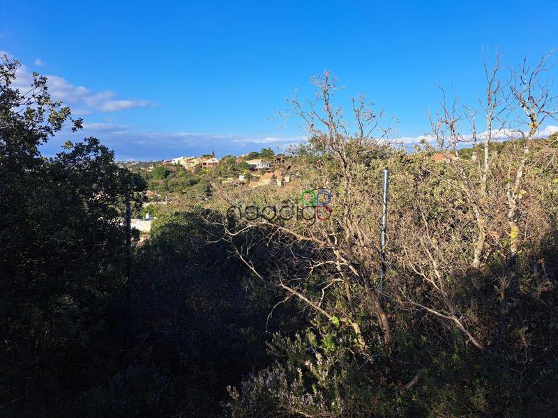 Foto 1aadca5d-c289-492d-8132-0226a1b66797. Finca rústica gran parcela en venta en urb. sotolargo en Valdeaveruelo