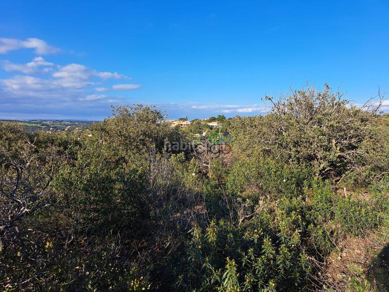 Foto 36f7b637-2727-46b9-b122-adfd34bdf6ca. Finca rústica gran parcela en venta en urb. sotolargo en Valdeaveruelo