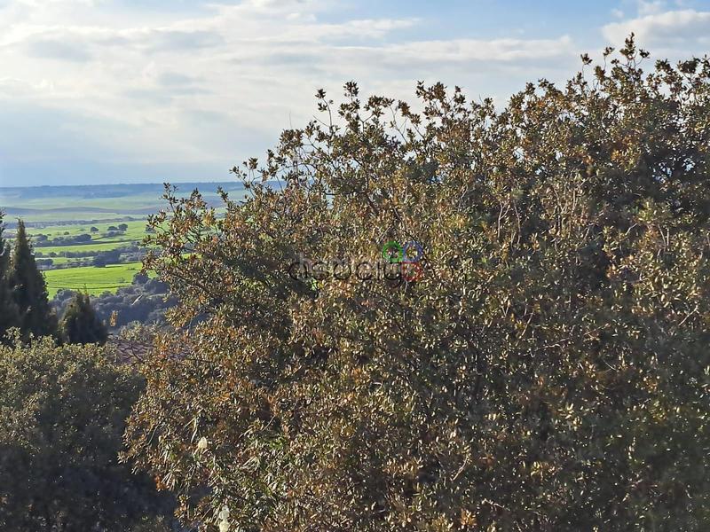 Foto 5406e821-df6b-4b1c-aaf5-464ba6614632. Finca rústica gran parcela en venta en urb. sotolargo en Valdeaveruelo