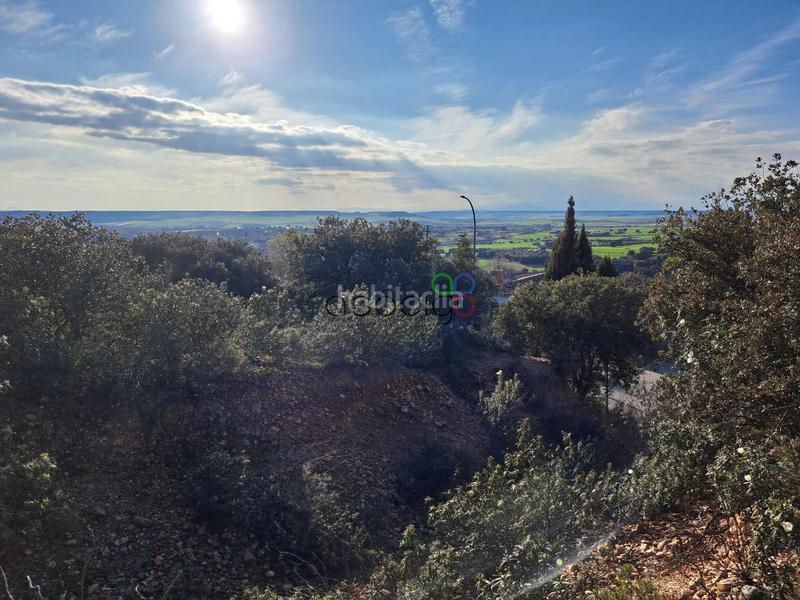 Foto 5d1db42d-945f-4b4e-a24c-d8a765987b6f. Finca rústica gran parcela en venta en urb. sotolargo en Valdeaveruelo