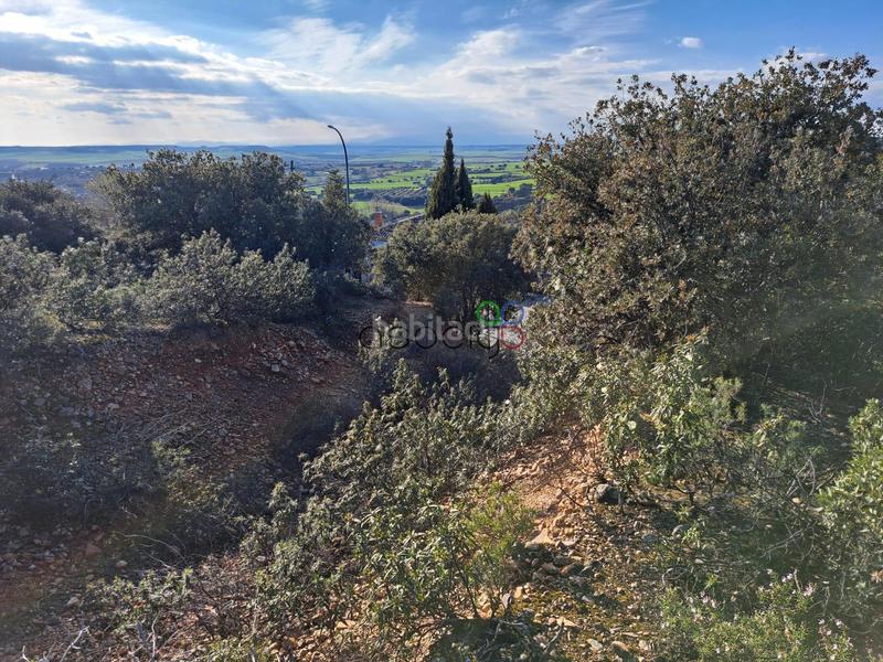 Foto 5fcaa760-cdb8-4308-ba05-b4b4b9642c04. Finca rústica gran parcela en venta en urb. sotolargo en Valdeaveruelo