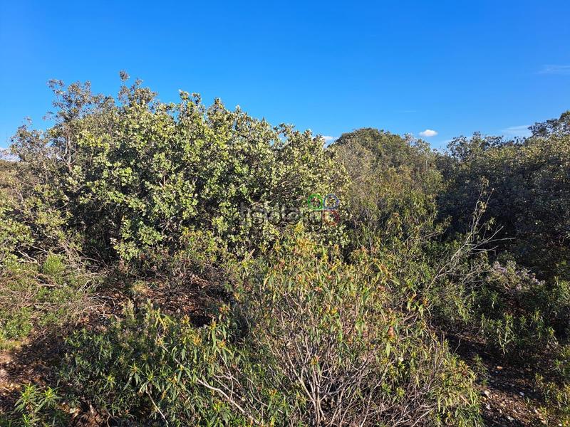 Foto ada84554-97e0-4785-96ba-42b0d00ef5d7. Finca rústica gran parcela en venta en urb. sotolargo en Valdeaveruelo