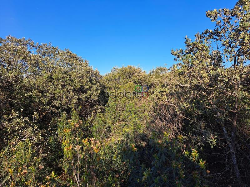 Foto d8a3c4f7-2558-46fb-a183-f27b9203a372. Finca rústica gran parcela en venta en urb. sotolargo en Valdeaveruelo