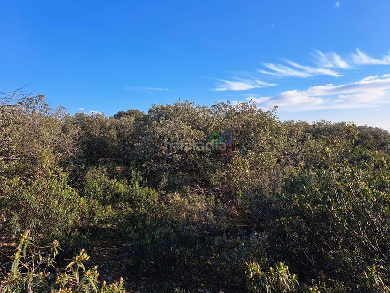 Foto e4efd135-331a-4163-b85f-361e2770e2bb. Finca rústica gran parcela en venta en urb. sotolargo en Valdeaveruelo