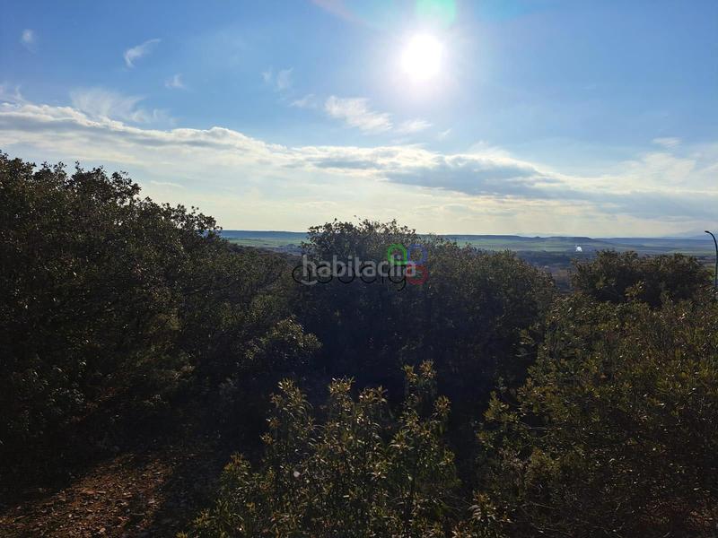 Foto f824b3c9-d4b3-45bb-8bf3-ac5169f9f324. Finca rústica gran parcela en venta en urb. sotolargo en Valdeaveruelo