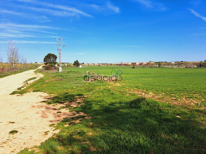 Foto 123cdfd2-6c5c-41b2-8646-027236b69558. Finca rústica parcela en venta guadalajara en Horche