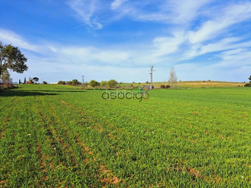 Foto 28fe41dd-4414-48a9-88de-d22e1a16893c. Finca rústica parcela en venta guadalajara en Horche