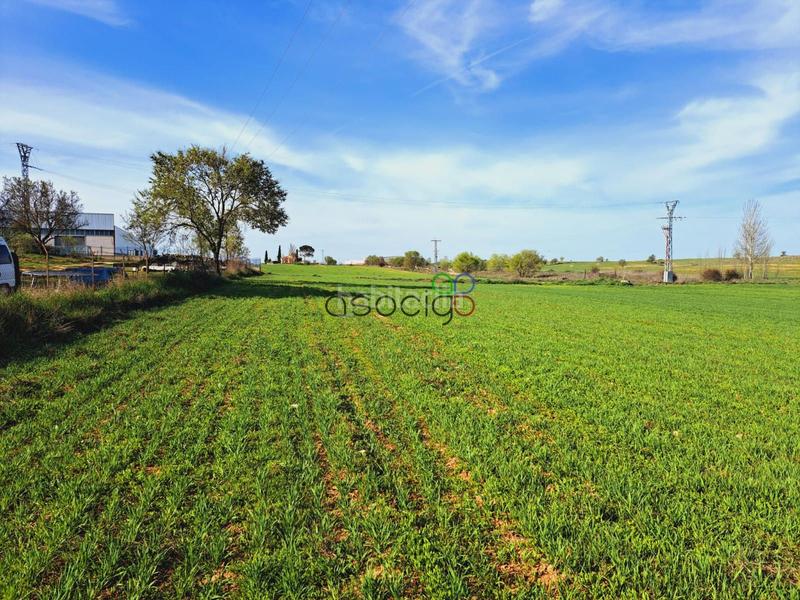 Foto 3d8ae4fd-60fb-4a51-8353-b1610b796e70. Finca rústica parcela en venta guadalajara en Horche