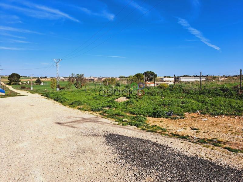 Foto 61b9e42f-3ae8-4af2-a461-1f2e52796bb9. Finca rústica parcela en venta guadalajara en Horche