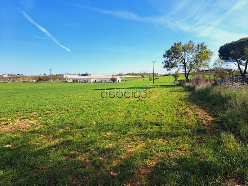 Foto be85c0e0-bbfa-4b2b-a962-c51adafaf3cf. Finca rústica parcela en venta guadalajara en Horche