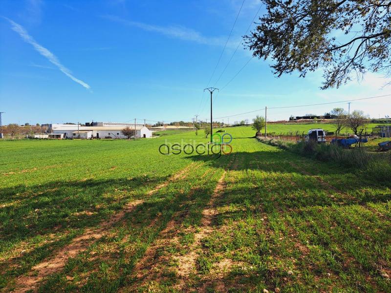 Foto c60c3bb7-b16d-4ca3-b386-f8dee1fec498. Finca rústica parcela en venta guadalajara en Horche
