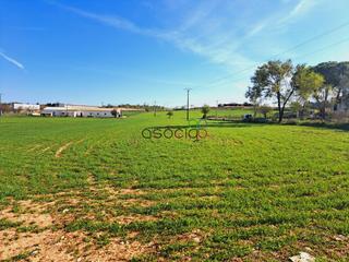 Finca rústica  Cerro horca. Parcela en venta en horche guadalajara