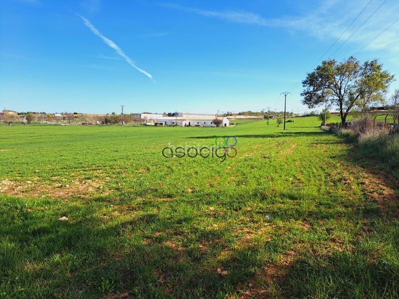 Foto e43253f0-4550-409d-88b2-f7171a83232a. Finca rústica parcela en venta guadalajara en Horche
