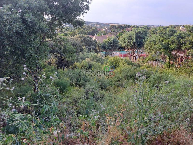 Foto 2e02ad51-e73d-4dc6-871f-b81204bda849. Landgut in Valdeaveruelo