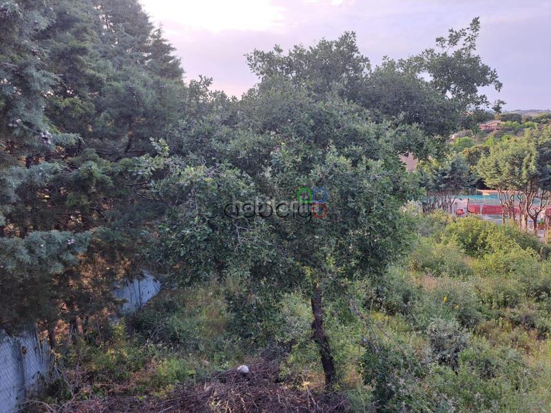 Foto 3367f2b3-2fe9-45a5-96e0-ef9b34993cb6. Landgut in Valdeaveruelo