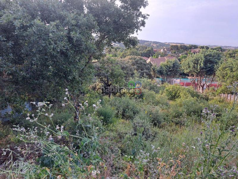 Foto 5da339e0-a85c-4464-a9cd-3f55c12a7430. Landgut in Valdeaveruelo