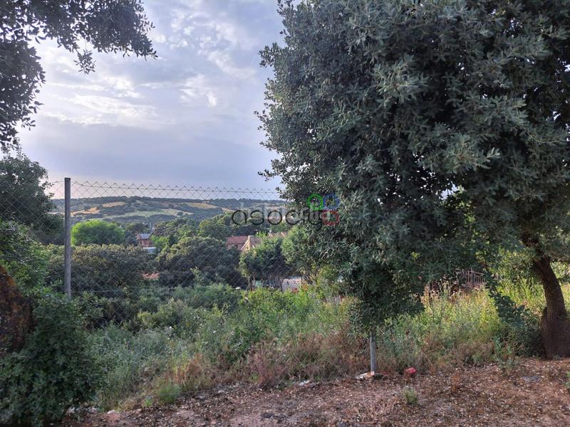 Foto 6e342814-95eb-418f-8f22-d3804f695031. Landgut in Valdeaveruelo