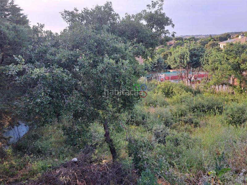 Foto 77116eaa-bce8-4481-9f93-2105619d5497. Landgut in Valdeaveruelo