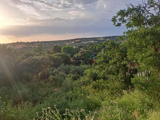 Finca rústica  Encinas. Parcela en venta en urb. sotolargo  valdeaveruelo