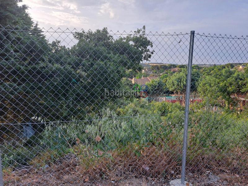 Foto ccb9a59f-426f-4960-bd7d-b6a8e7f2b1a2. Landgut in Valdeaveruelo