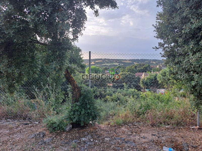 Foto d45e53d6-7baa-48b5-9d31-c904ab589b83. Landgut in Valdeaveruelo