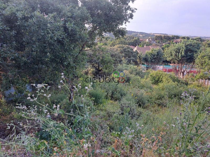 Foto f83edf9c-8932-492a-93eb-ea4ac2bb1525. Landgut in Valdeaveruelo