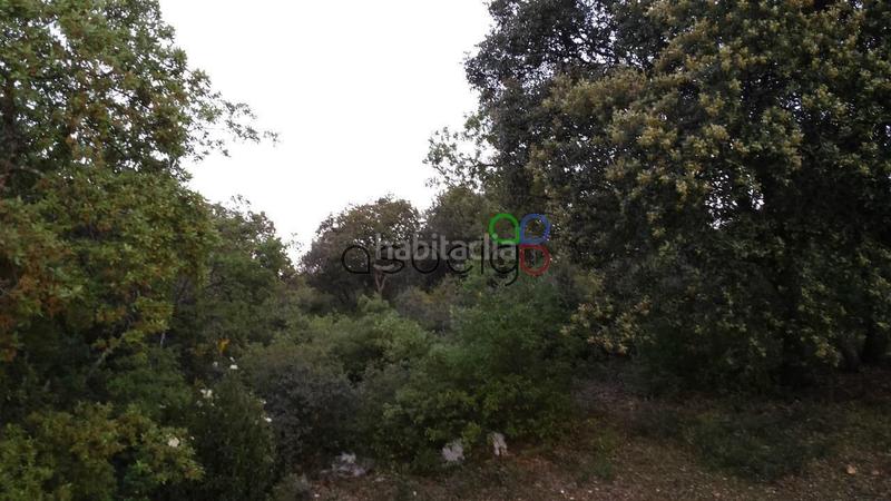 Foto 870ab4f7-5081-4d4d-9983-1af401a81a1b. Finca rústica a Valdeaveruelo