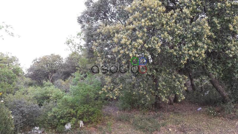 Foto 88e82e5b-2fe4-47b5-ade9-2c1fda5fa803. Finca rústica a Valdeaveruelo