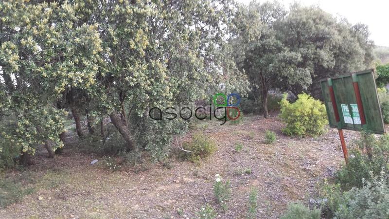 Foto f08abeff-d436-4709-90fa-5531d67476db. Finca rústica a Valdeaveruelo