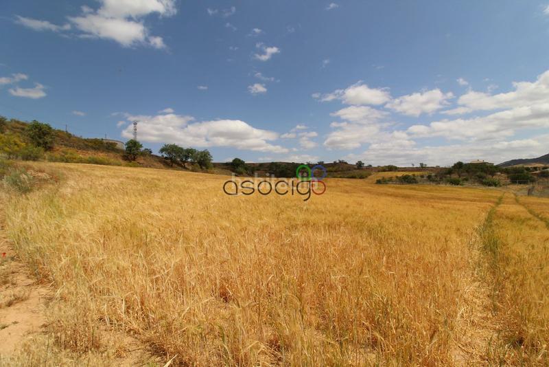 Foto 6ff481ec-9bc7-4ada-9ee8-cdb3959703c0. Propriété dans Tórtola de Henares