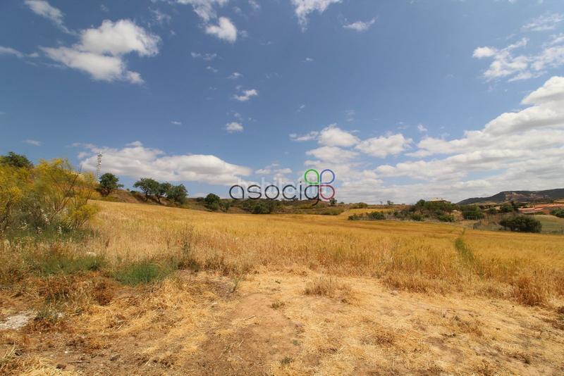 Foto ff75a7be-7d46-472a-8099-6173eb66e375. Propriété dans Tórtola de Henares