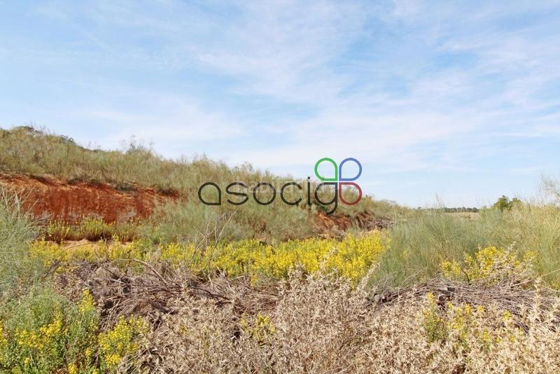 Foto 2c0a386e-8eb1-430c-a7e2-37a450b7afe6. Propriété dans Cabanillas del Campo