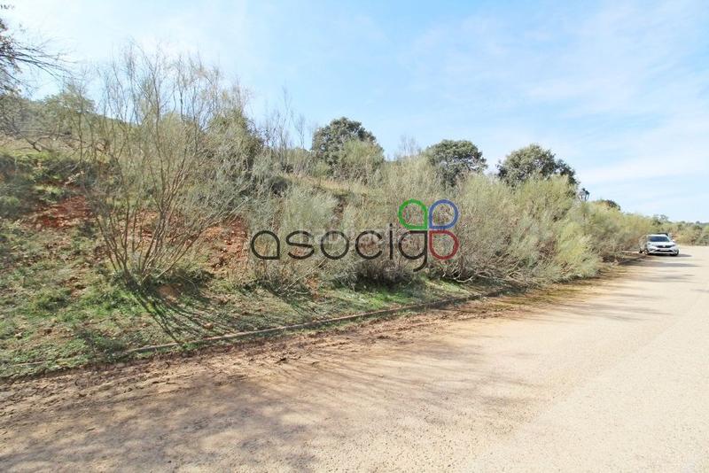 Foto 69c86943-7ee6-4e59-a08c-ad3f9f9199cb. Propriété dans Cabanillas del Campo