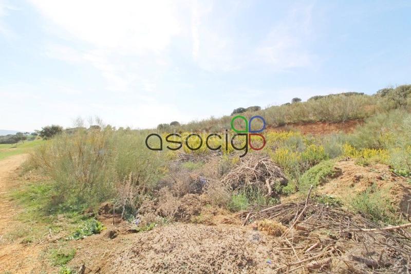 Foto 80336fda-d191-425f-8a0d-8f721111ee47. Propriété dans Cabanillas del Campo