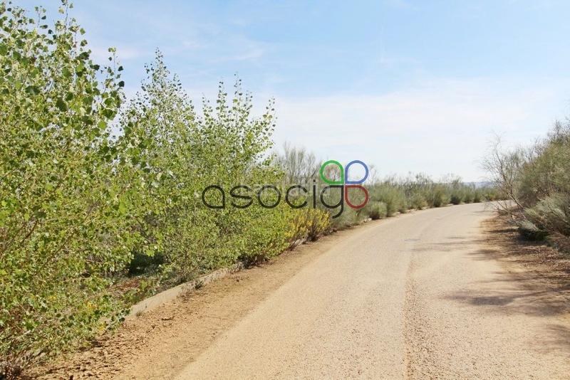 Foto 8e77b1b3-c4ba-4e20-bfe4-230a5c6b87a1. Propriété dans Cabanillas del Campo