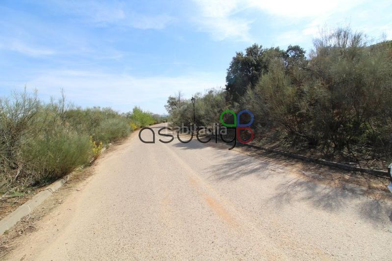 Foto d7591b44-70bc-437c-bc69-2638044896ff. Propriété dans Cabanillas del Campo