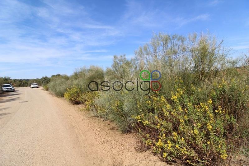 Foto d775f89f-dbbe-46a3-ab5e-9c36df2b491e. Propriété dans Cabanillas del Campo