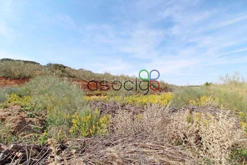 Foto ee2d860b-5e23-47aa-bff9-3d31134a190f. Propriété dans Cabanillas del Campo