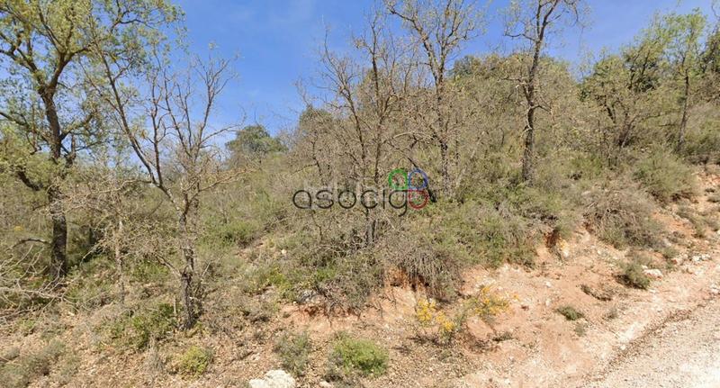 Foto a29ae78c-bd1a-406c-bd60-cf5b8009dcc2. Terrain résidentiel dans Loranca de Tajuña